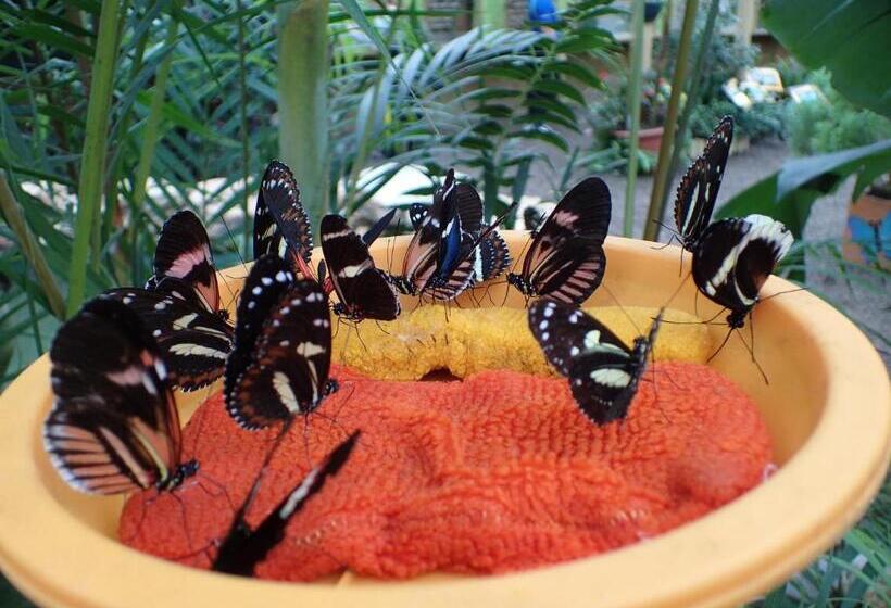 פנסיון Hostal Henrry S