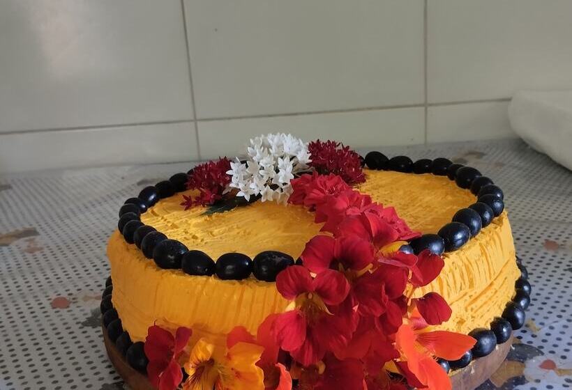 פנסיון João De Barro Hospedagem