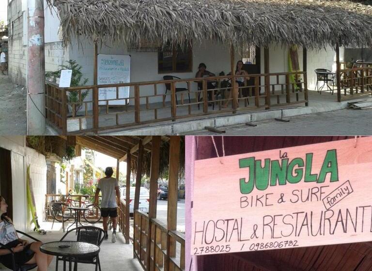 بنسيون La Jungla