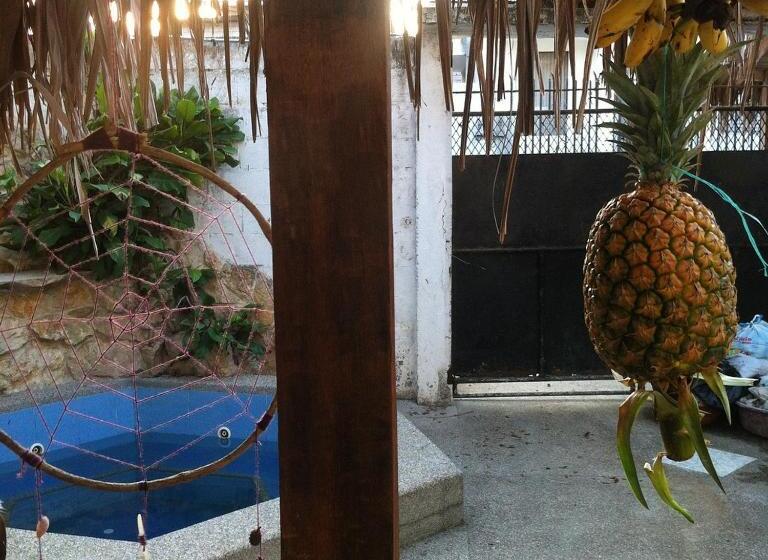 بنسيون La Jungla