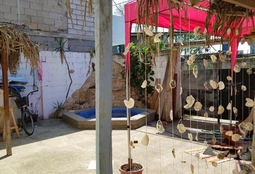 بنسيون La Jungla