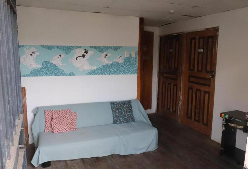 بنسيون La Jungla