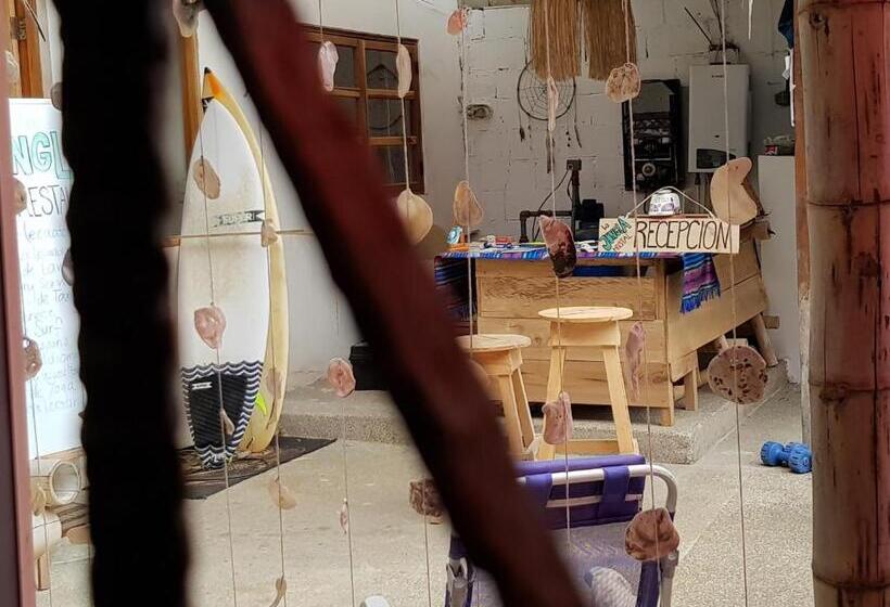 بنسيون La Jungla