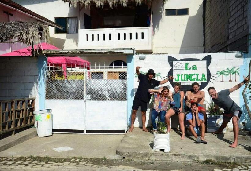بنسيون La Jungla