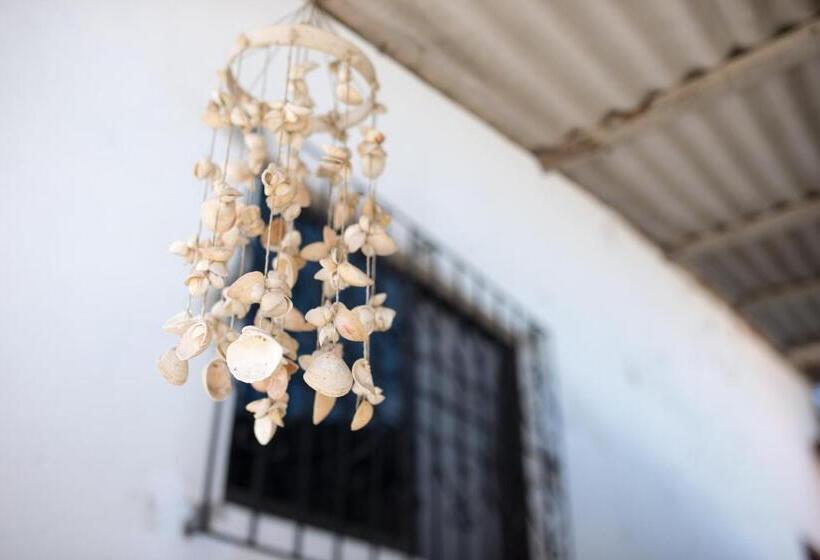 بنسيون La Jungla