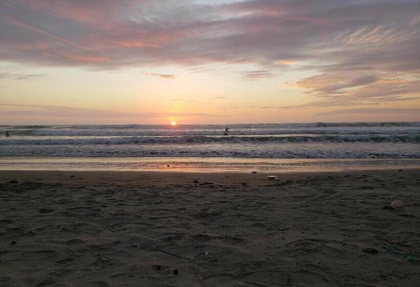 بنسيون La Jungla