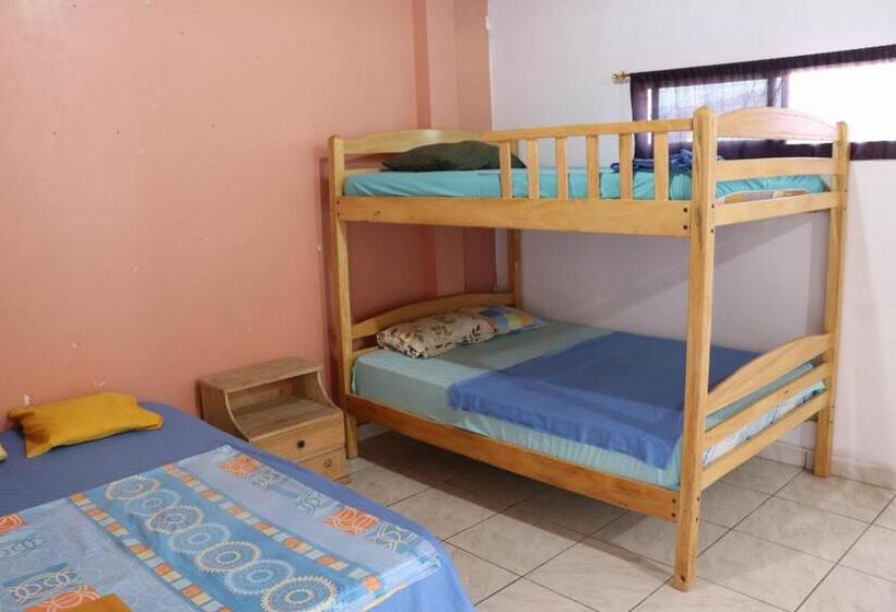 بنسيون La Jungla