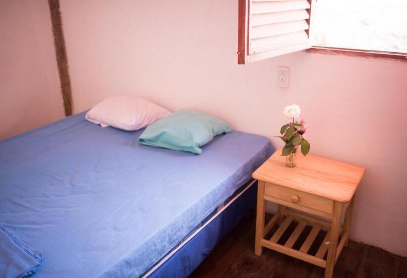 پانسیون La Jungla