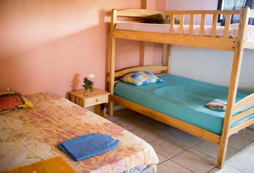 بنسيون La Jungla