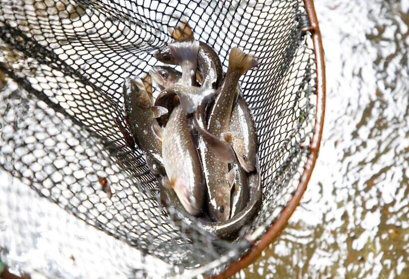 بنسيون Oyado Fubuki