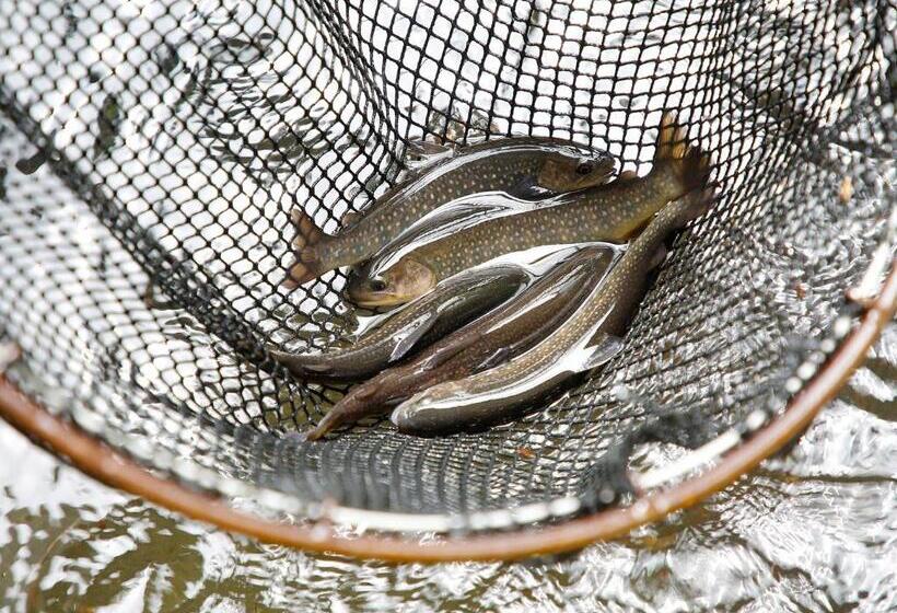 بنسيون Oyado Fubuki