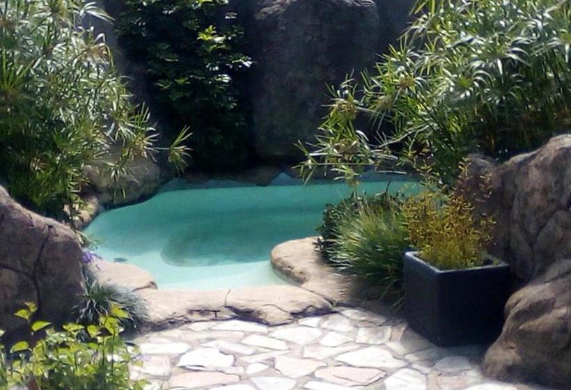 פנסיון Pat's Place