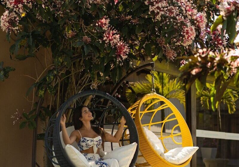 פנסיון Pousada Algodão Da Praia