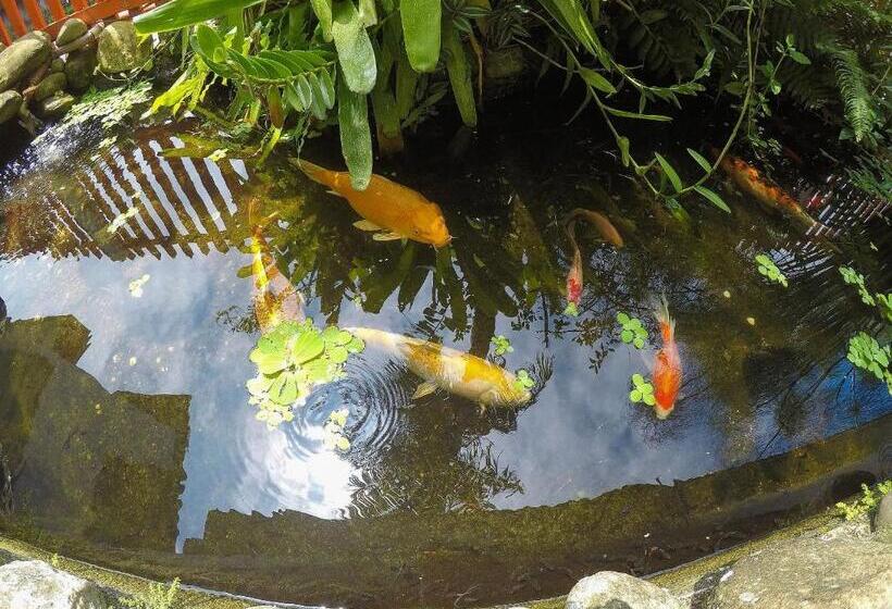 Пансион Pousada Entre Paraísos