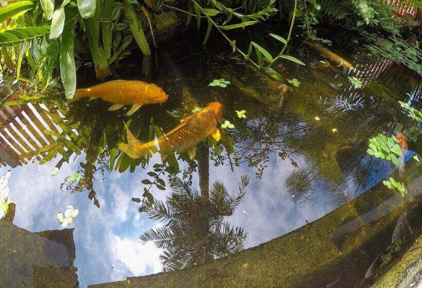 Пансион Pousada Entre Paraísos