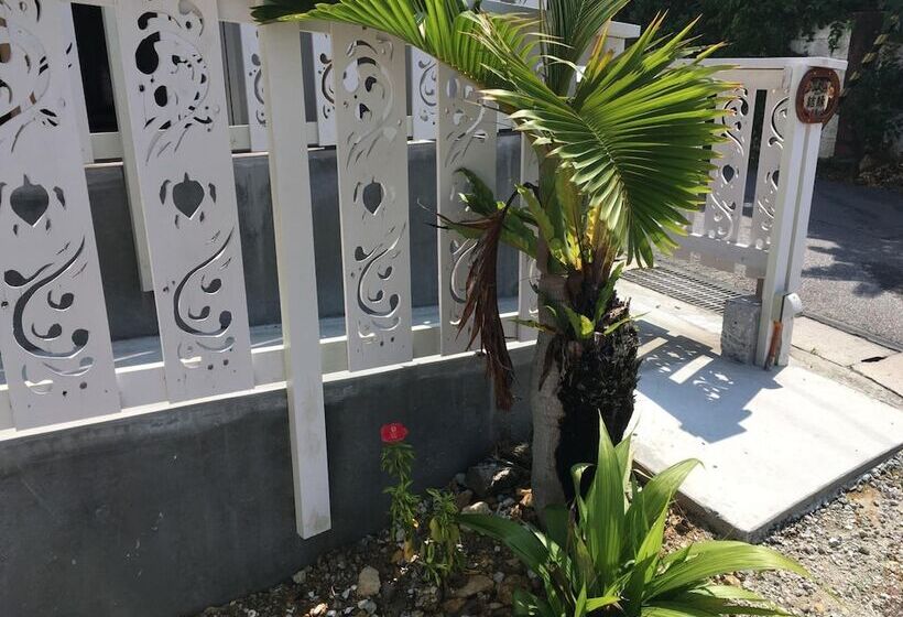 פנסיון Shimanchu Guest House Yuien