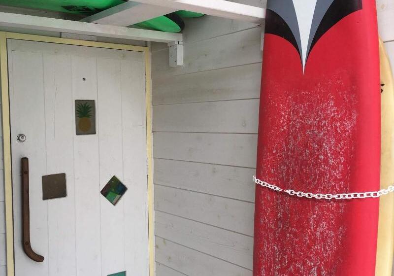 פנסיון Shimanchu Guest House Yuien