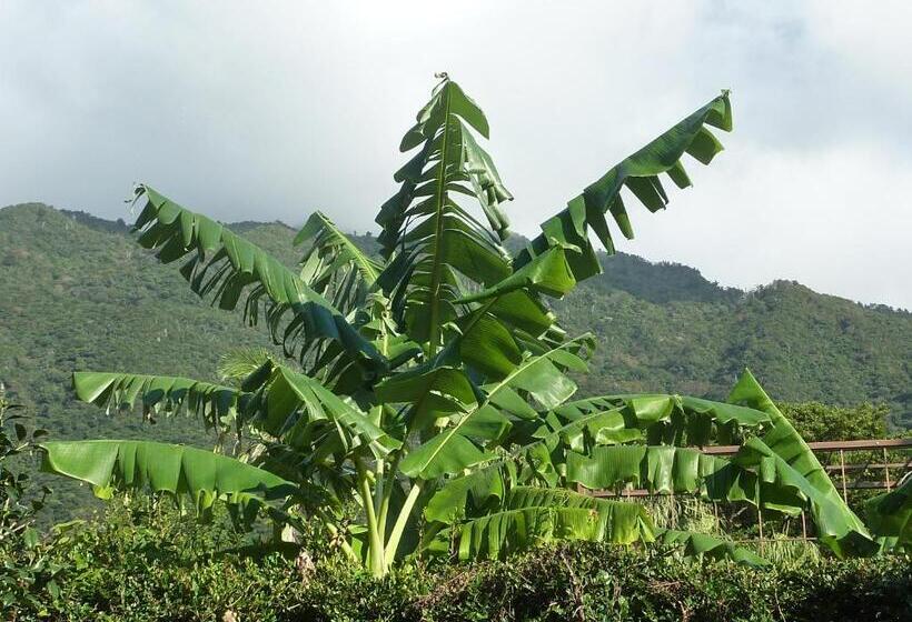 بنسيون Sora Mame