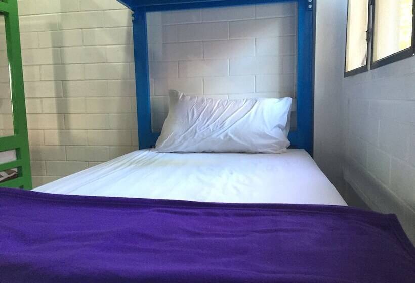 ペンション Summer Guesthouse & Hostel