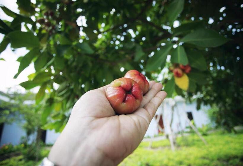 پانسیون Thanh Thuy