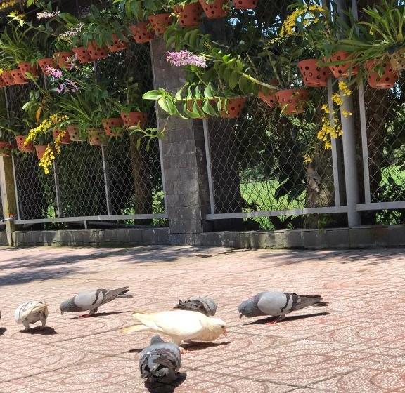 پانسیون Thanh Thuy