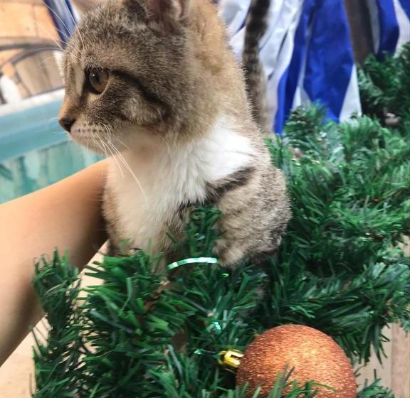 پانسیون U Palycha Guest House