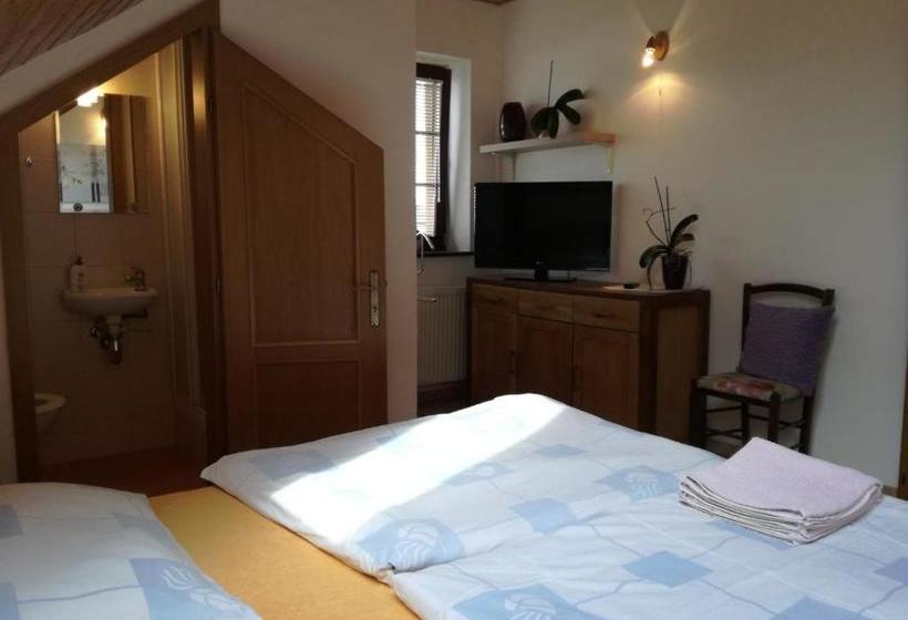 پانسیون Vila štefan Drevko