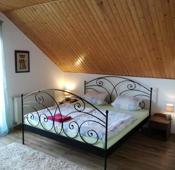 پانسیون Vila štefan Drevko