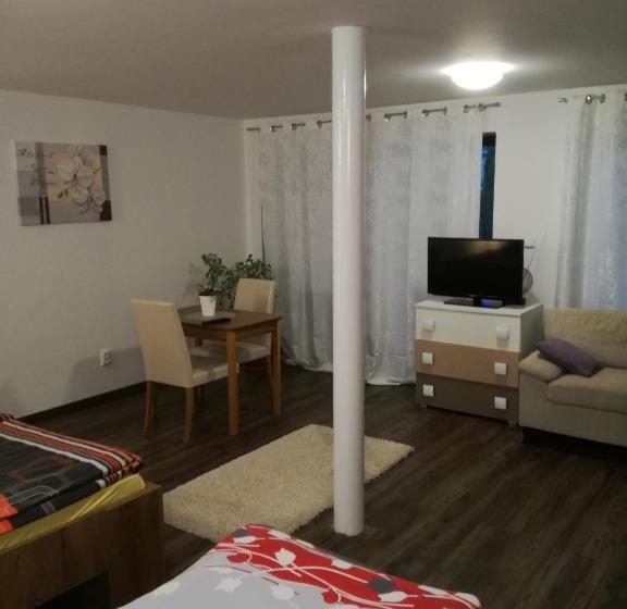 پانسیون Vila štefan Drevko