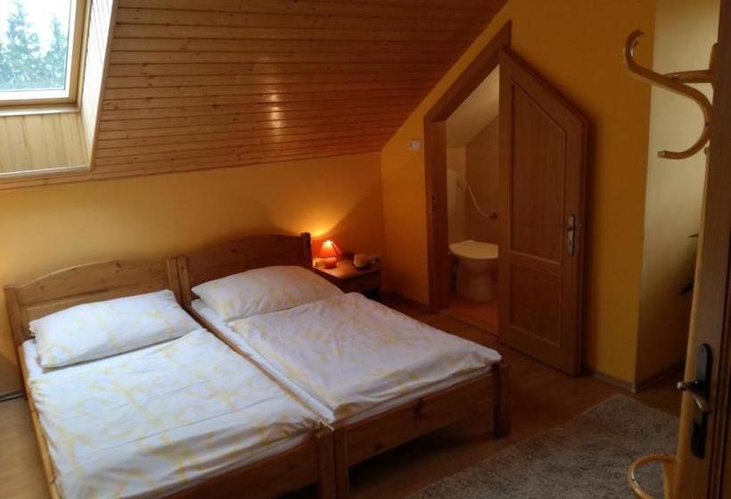 پانسیون Vila štefan Drevko