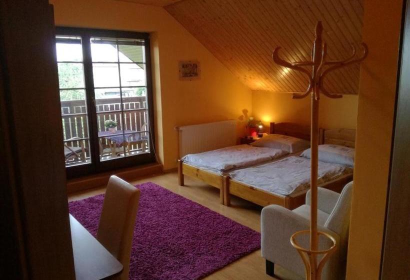 پانسیون Vila štefan Drevko