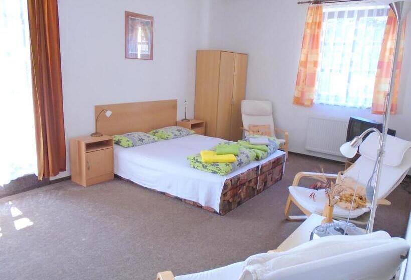 پانسیون Wellness Penzion Lázně Jablonec