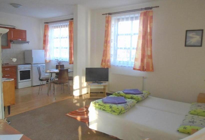 پانسیون Wellness Penzion Lázně Jablonec