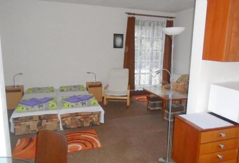 پانسیون Wellness Penzion Lázně Jablonec