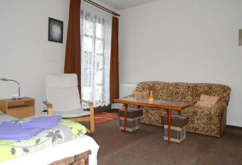 پانسیون Wellness Penzion Lázně Jablonec