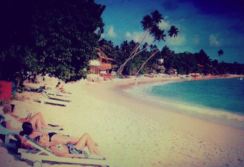 פנסיון White House