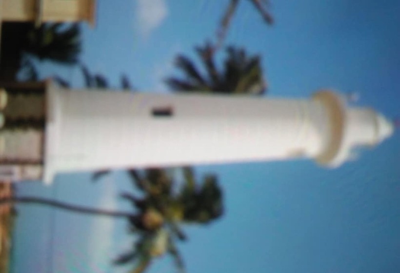 פנסיון White House