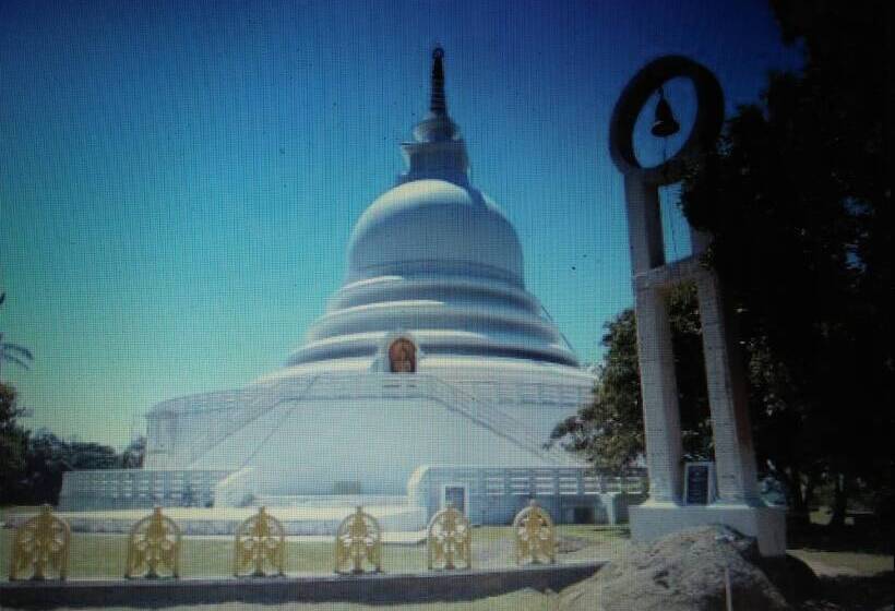 פנסיון White House