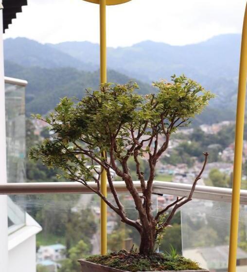 Apartahotel Millennials, Moderno Y Acogedor En El Sector Del Cable Y Cerca Al Estadio