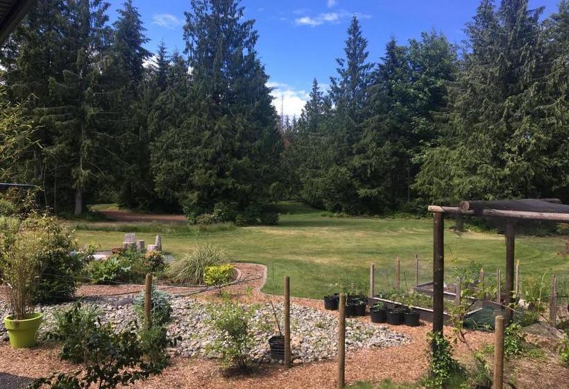 פנסיון Ashling Cottage