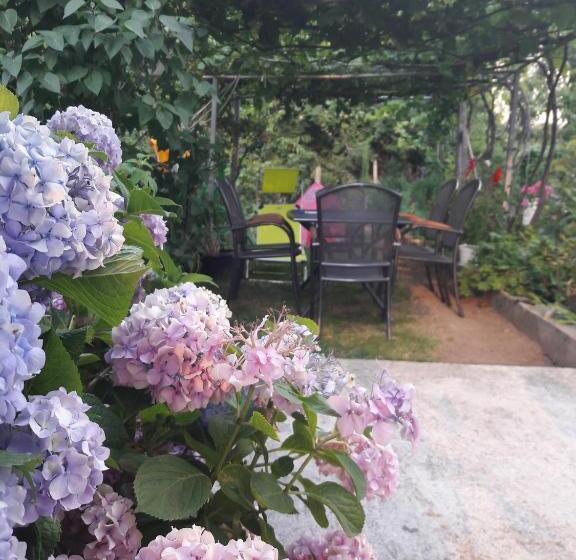 پانسیون Georgievi Guest House