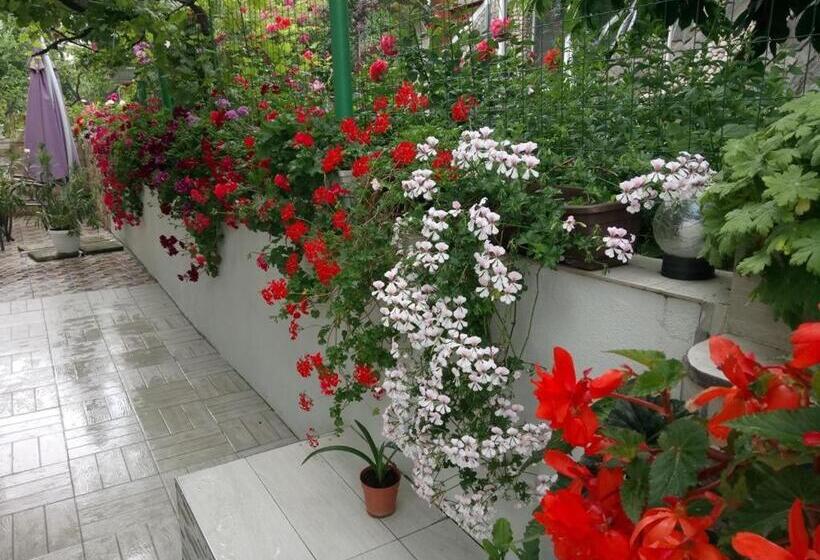 پانسیون Georgievi Guest House