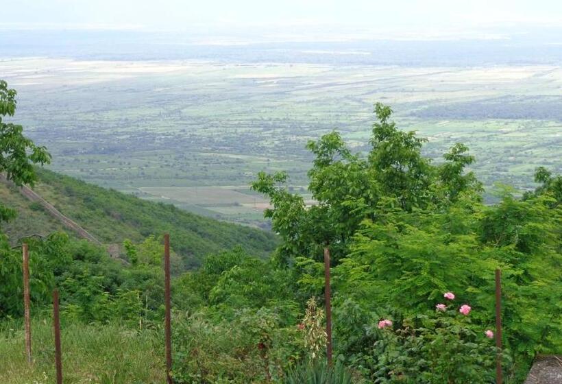 پانسیون Goga Guesthouse