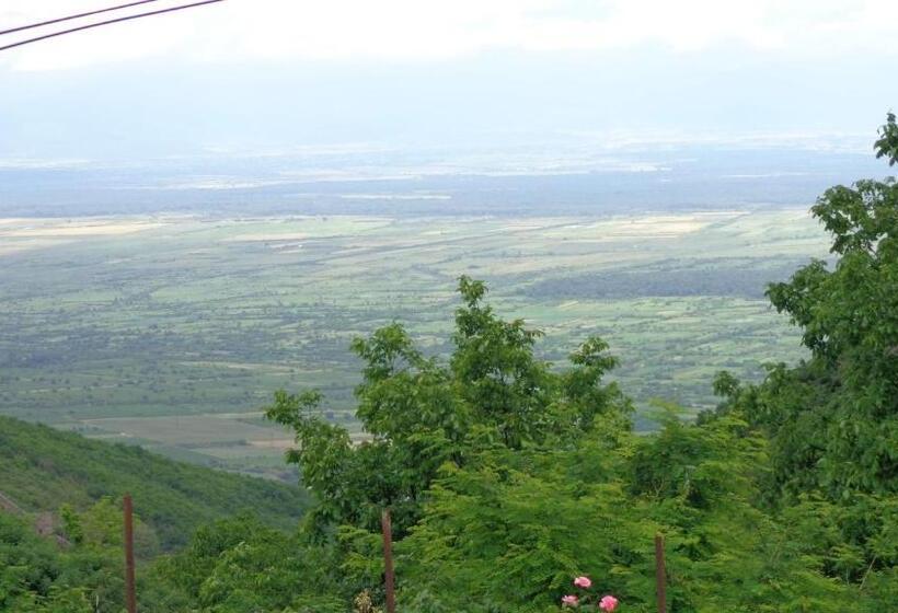 پانسیون Goga Guesthouse