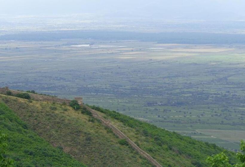 پانسیون Goga Guesthouse