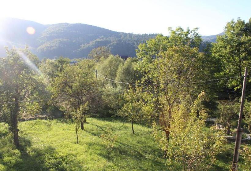 پانسیون Goryanka