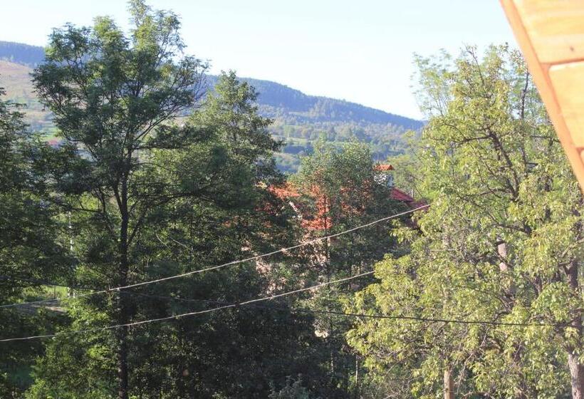 پانسیون Goryanka