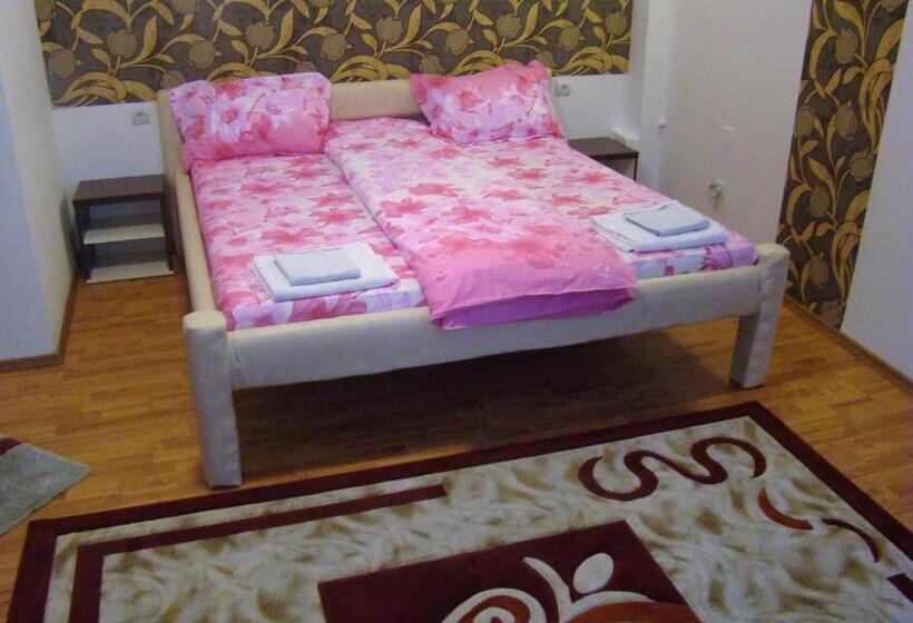 پانسیون Guest House Andrei