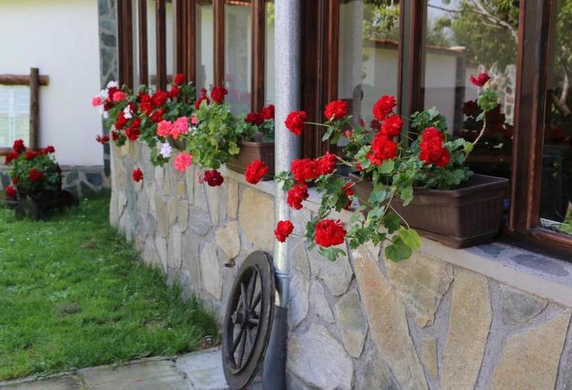 پانسیون Guest House Via