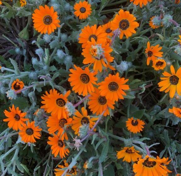 פנסיון Lêplek Guest House